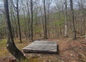 Goldenseal Rd Lot # 46, Maysville, WV  26833