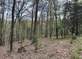 15.02 Ac Bean Rd, Romney, WV  26757