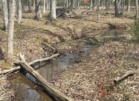 Dillions Run Road, Capon Bridge, WV  26711