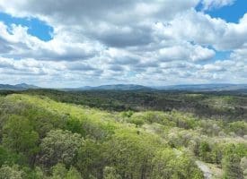 10 AC Moon Ridge Ln, Burlington, WV  26710