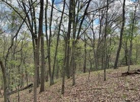 15.02 Ac Bean Rd, Romney, WV  26757