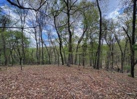 5 Ac Beam Rd., Romney, WV  26757