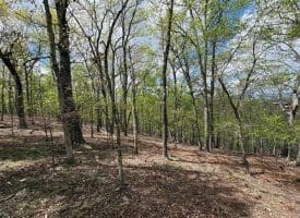 10 AC Moon Ridge Ln, Burlington, WV  26710