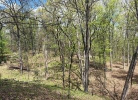 15.02 Ac Bean Rd, Romney, WV  26757