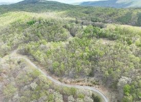 10 AC Moon Ridge Ln, Burlington, WV  26710