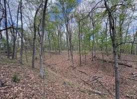 15.02 Ac Bean Rd, Romney, WV  26757