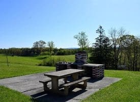 1843 HEIDE COOPER RD, SHANKS, WV  26761