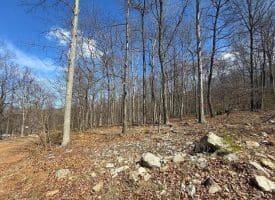 Lot 65 High Mountain View Rd, Romney, WV  26757