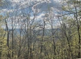Lot 44a Mountain Top Rd., Paw Paw, WV  25434