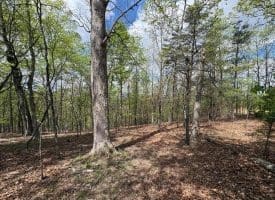 10 AC Moon Ridge Ln, Burlington, WV  26710