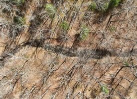 Lot 62 Phase 2 Crest Haven, Romney, WV  26757