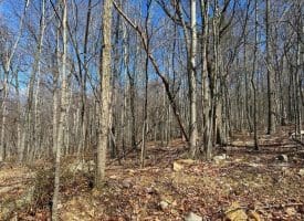 Lot 63 High Mountain View Rd, Romney, WV  26757