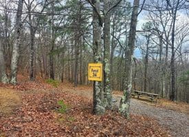 4.73 Ac Brown Cardinal Ridge, Romney, WV  26757