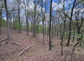 15.02 Ac Bean Rd, Romney, WV  26757