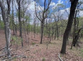 15.02 Ac Bean Rd, Romney, WV  26757