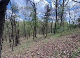 15.02 Ac Bean Rd, Romney, WV  26757