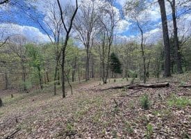 15.02 Ac Bean Rd, Romney, WV  26757