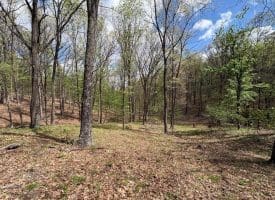 15.02 Ac Bean Rd, Romney, WV  26757