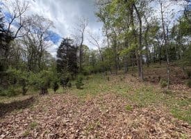 15.02 Ac Bean Rd, Romney, WV  26757