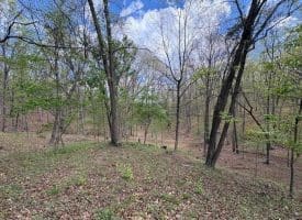 15.02 Ac Bean Rd, Romney, WV  26757