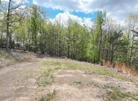 10 AC Moon Ridge Ln, Burlington, WV  26710