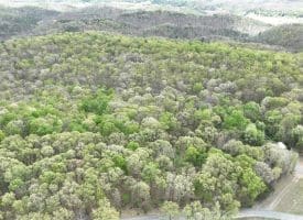 15.02 Ac Bean Rd, Romney, WV  26757