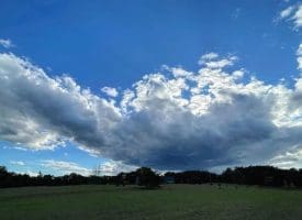 160 Stefanko Ln., Augusta, WV  26704