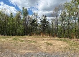 10 AC Moon Ridge Ln, Burlington, WV  26710