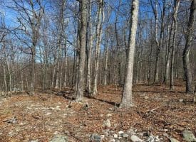 Lot 65 High Mountain View Rd, Romney, WV  26757