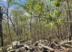 Lot 44a Mountain Top Rd., Paw Paw, WV  25434