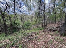 5 Ac Beam Rd., Romney, WV  26757