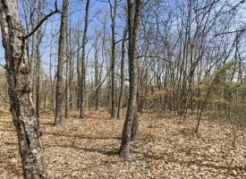 Lot 62 Phase 2 Crest Haven, Romney, WV  26757