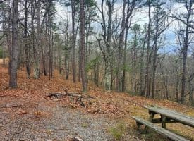 4.73 Ac Brown Cardinal Ridge, Romney, WV  26757