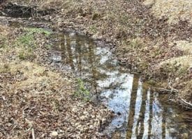 Dillions Run Road, Capon Bridge, WV  26711