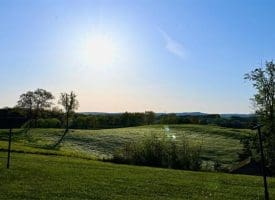1843 HEIDE COOPER RD, SHANKS, WV  26761