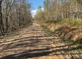 Lot 44a Mountain Top Rd., Paw Paw, WV  25434