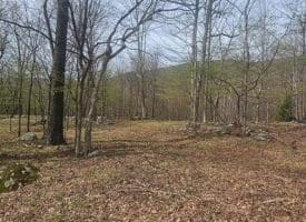 Goldenseal Rd Lot # 46, Maysville, WV  26833