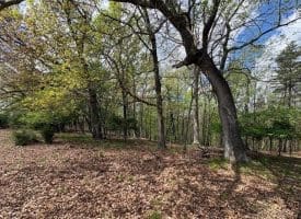 10 AC Moon Ridge Ln, Burlington, WV  26710