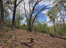 5 Ac Beam Rd., Romney, WV  26757