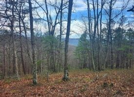 4.73 Ac Brown Cardinal Ridge, Romney, WV  26757