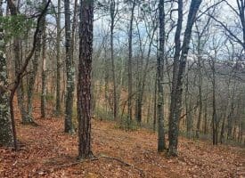 4.73 Ac Brown Cardinal Ridge, Romney, WV  26757
