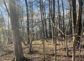 Lot 44a Mountain Top Rd., Paw Paw, WV  25434