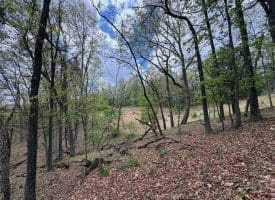 5 Ac Beam Rd., Romney, WV  26757