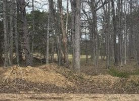 Dillions Run Road, Capon Bridge, WV  26711