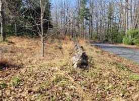 1957 Milk Rd., Yellow Spring, WV  26865