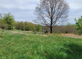 231 Stoney Apple Dr., Romney, WV  26757