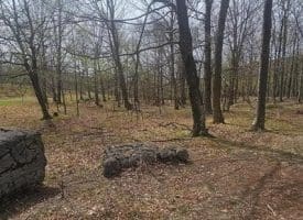 Goldenseal Rd Lot # 46, Maysville, WV  26833