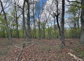 10 AC Moon Ridge Ln, Burlington, WV  26710