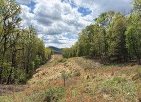 5 Ac Beam Rd., Romney, WV  26757