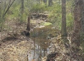 Dillions Run Road, Capon Bridge, WV  26711